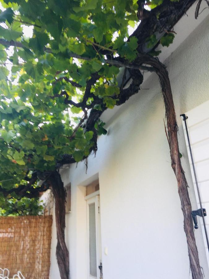 Holiday Home Casa Bianca Sukošan المظهر الخارجي الصورة